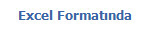 Excel Format�nda