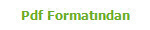 Pdf Format�ndan
